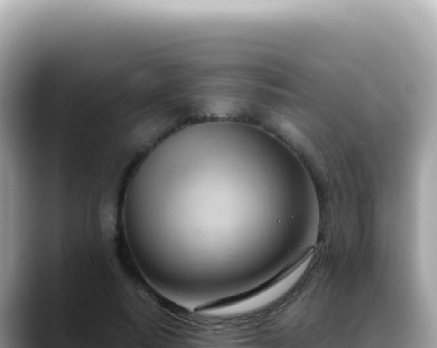 X0000088740640200706071700
