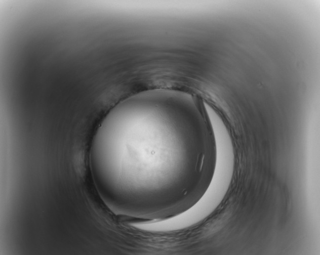 X0000088740641200706071700