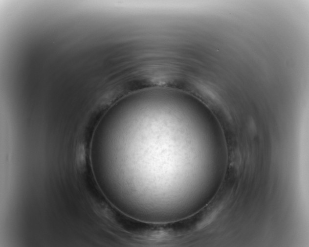X0000088740646200706071701