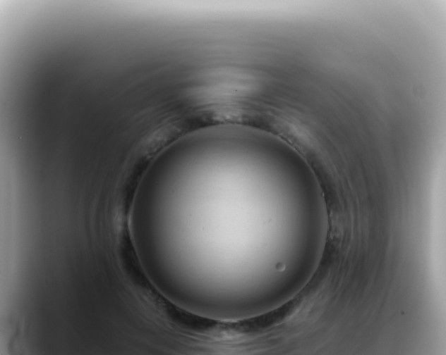 X0000088740648200706071701