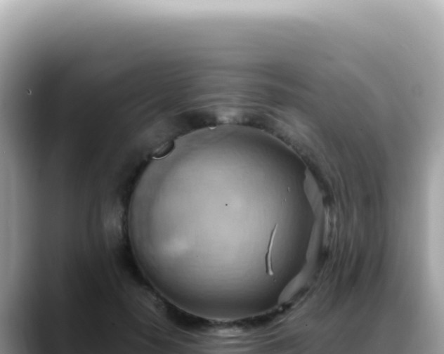X0000088740650200706071701