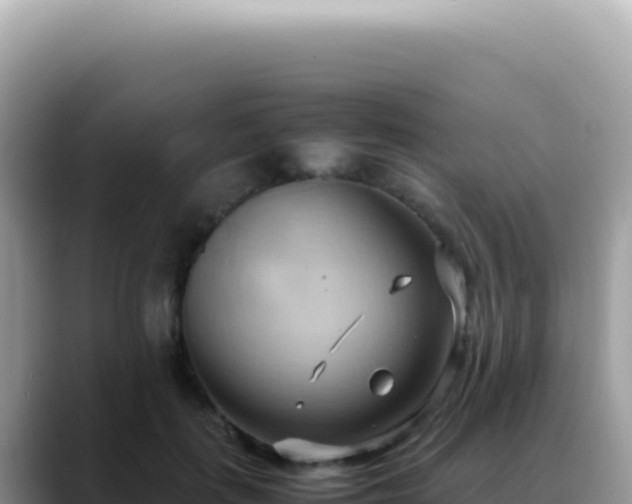 X0000088740651200706071701