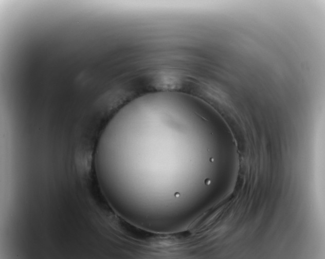 X0000088740652200706071701