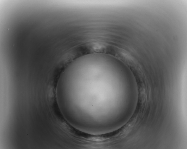 X0000088740654200706071701