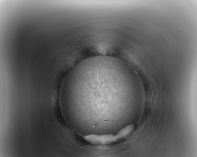 X0000088740656200706071701