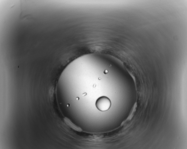 X0000088740660200706071701