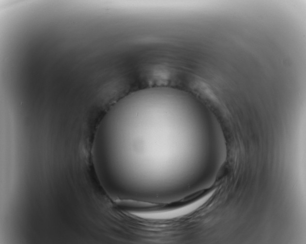 X0000088740661200706071701