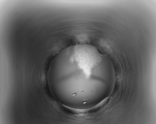 X0000088740662200706071701
