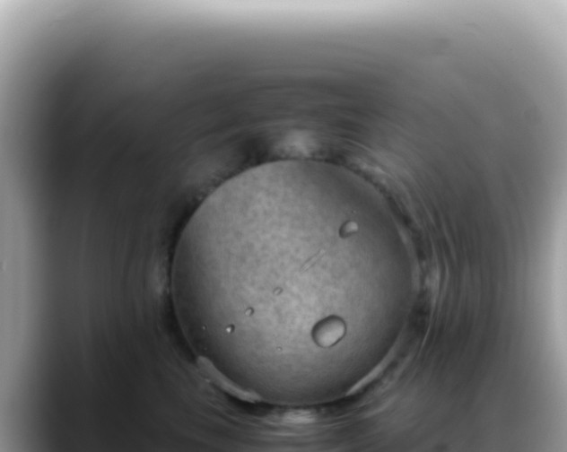 X0000088740665200706071701