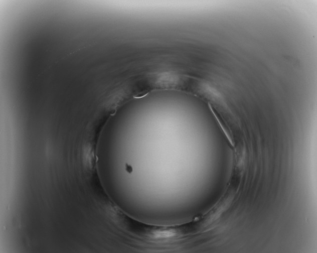 X0000088740669200706071701