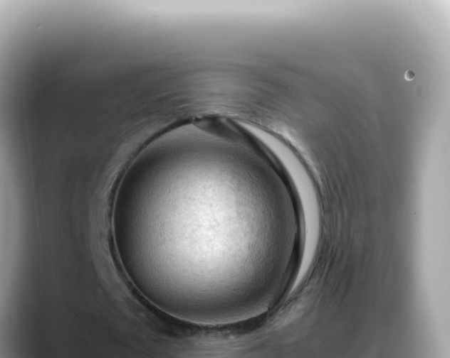 X0000088740673200706071700