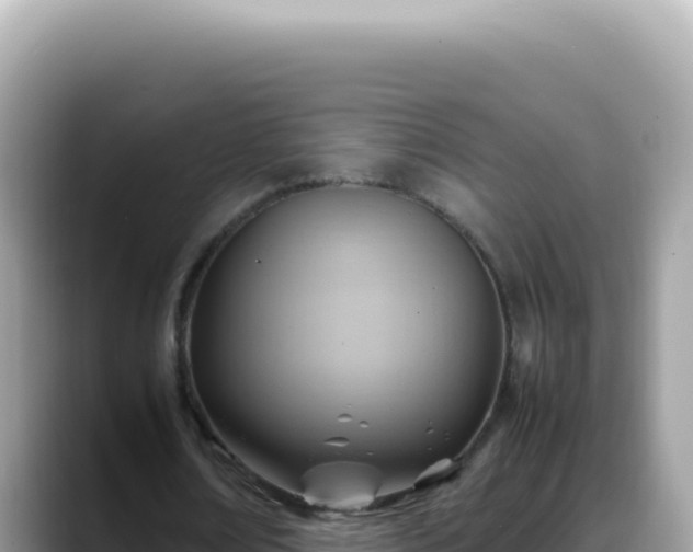 X0000088740674200706071700
