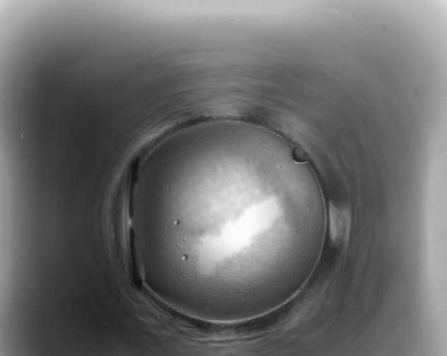 X0000088740675200706071700