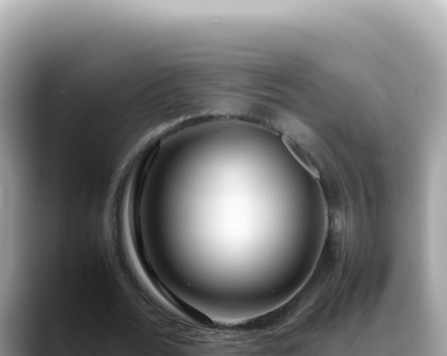 X0000088740676200706071700
