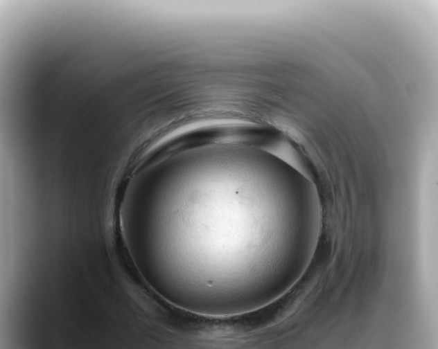 X0000088740677200706071700