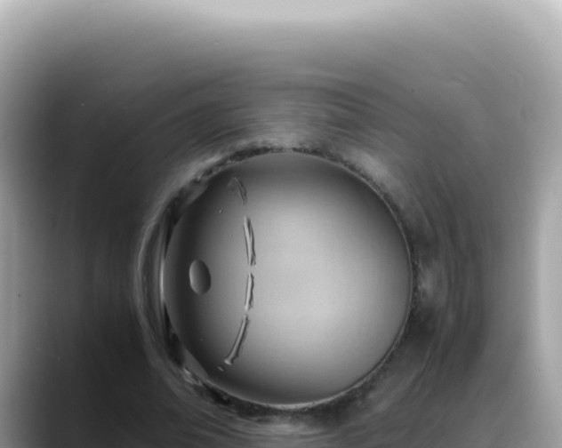 X0000088740678200706071700