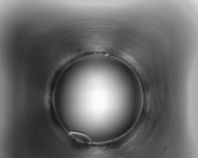 X0000088740680200706071700