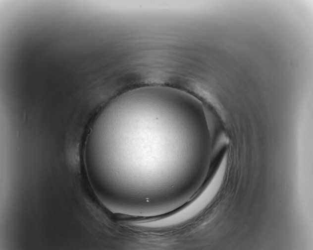X0000088740681200706071700