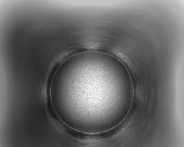 X0000088740682200706071700