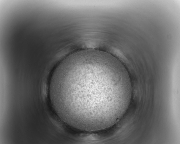 X0000088740683200706071700