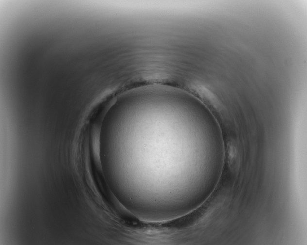 X0000088740684200706071700