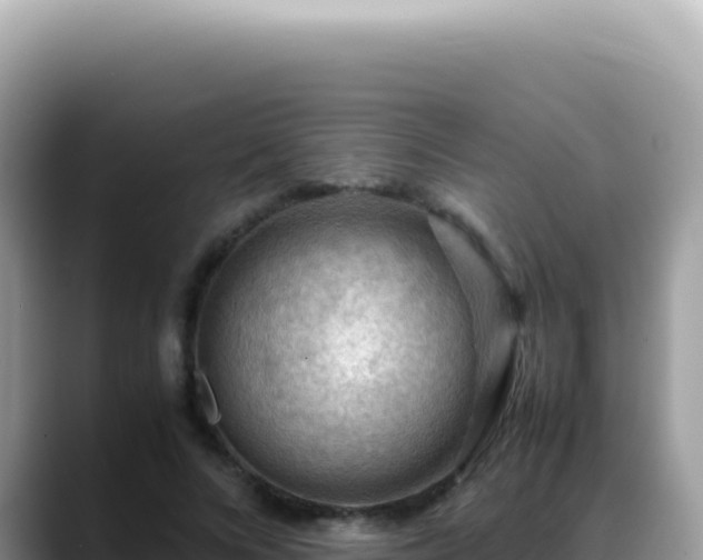 X0000088740688200706071700