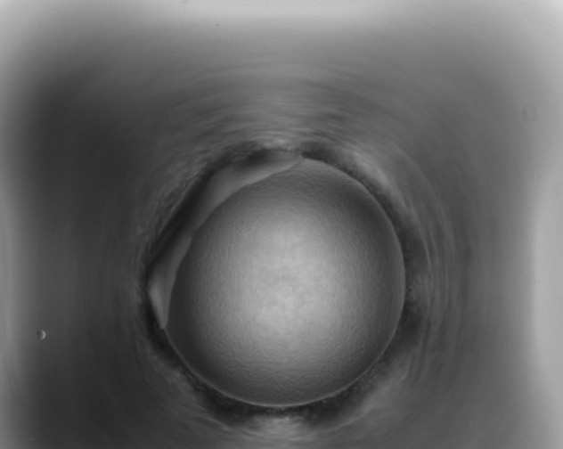 X0000088740689200706071700
