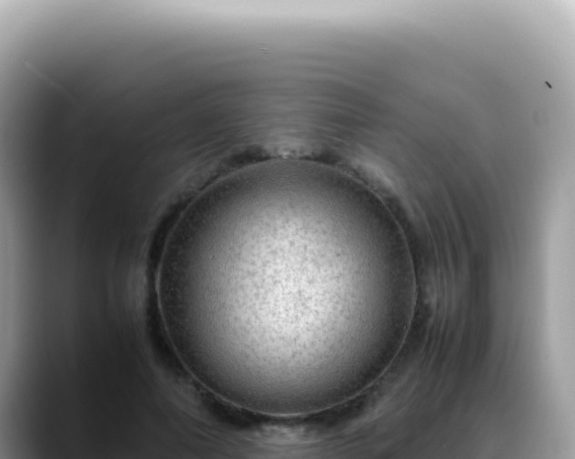 X0000088740690200706071700