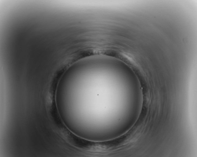 X0000088740691200706071700