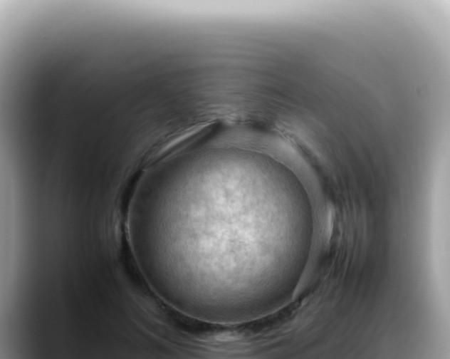 X0000088740692200706071700