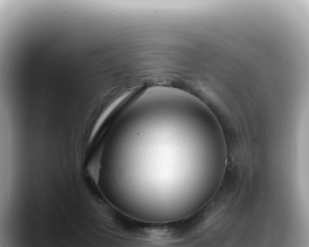 X0000088740693200706071700