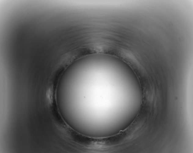 X0000088740694200706071700