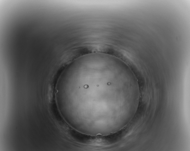 X0000088740695200706071700