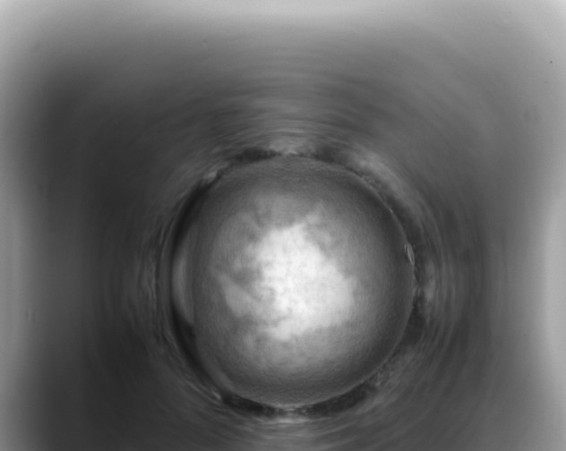 X0000088740696200706071700