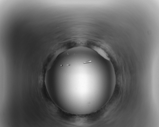 X0000088740697200706071700
