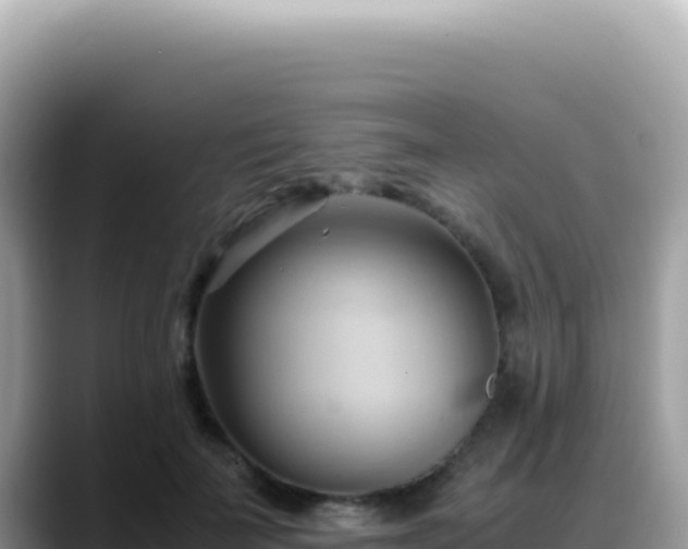 X0000088740699200706071700