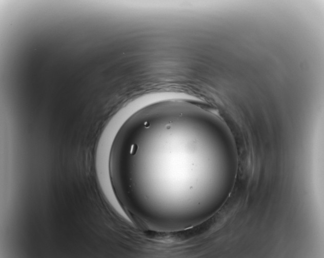 X0000088740704200706071700