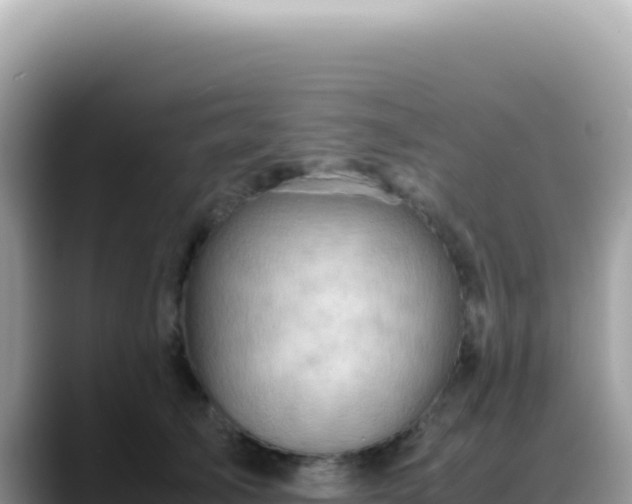 X0000088740705200706071700