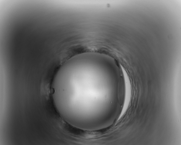 X0000088740707200706071700