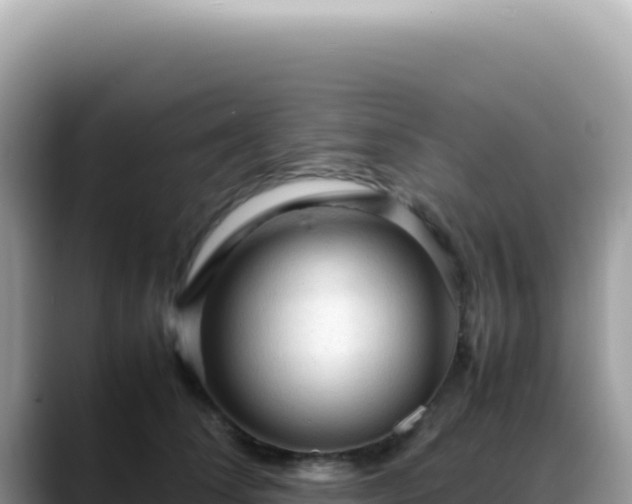 X0000088740708200706071700