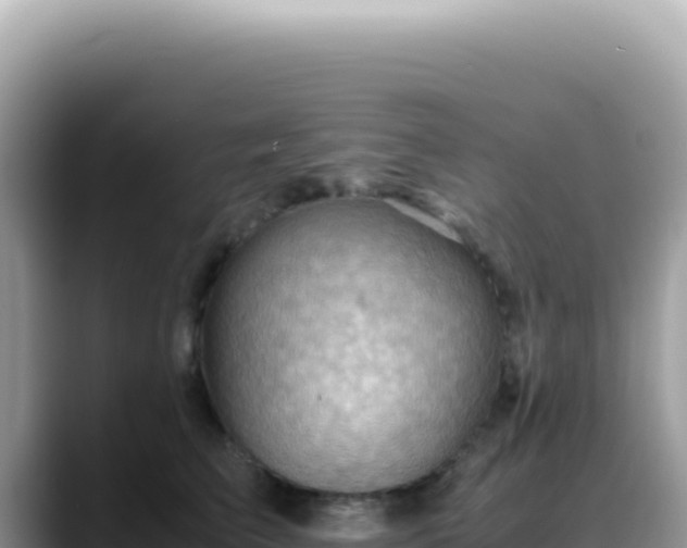 X0000088740709200706071700