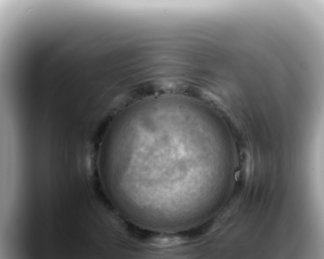 X0000088740712200706071700