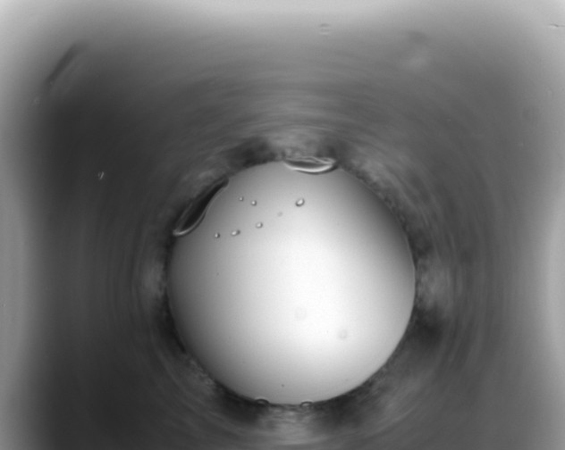X0000088740713200706071700