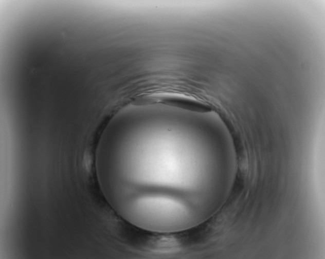 X0000088740715200706071700