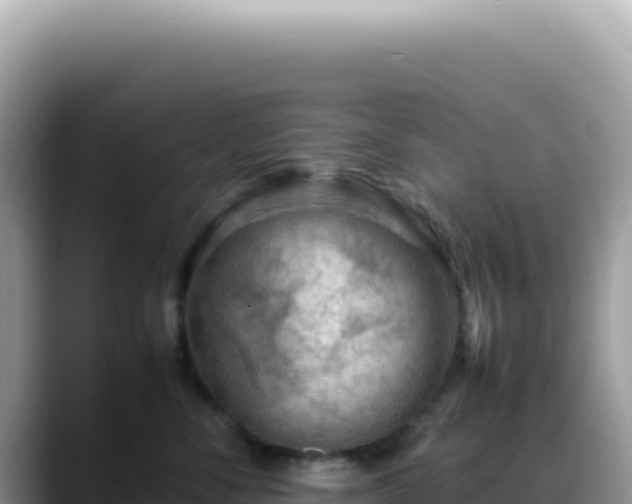 X0000088740716200706071700