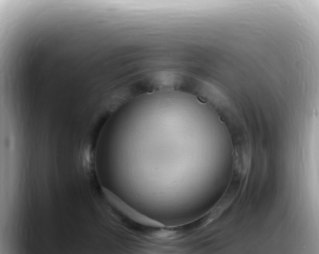 X0000088740718200706071700