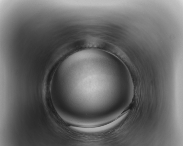 X0000088740722200706071659