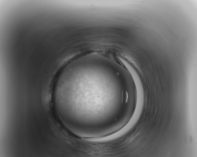 X0000088740723200706071659