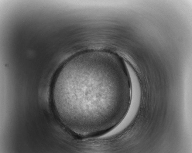X0000088740724200706071659