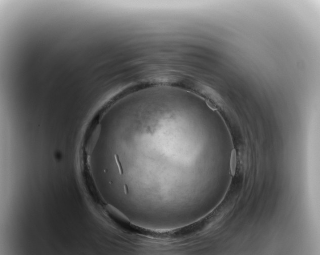 X0000088740726200706071659